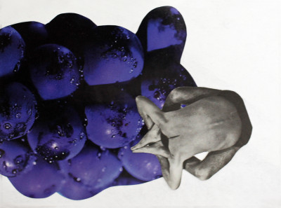 Fotografie einer menschlichen Figur in gebeugter Haltung vor einer Ansammlung violetter Beeren.